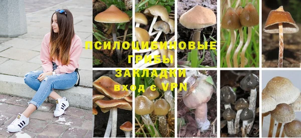 стафф Баксан